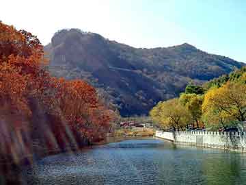 澳门二四六天天彩图库，都市神尊